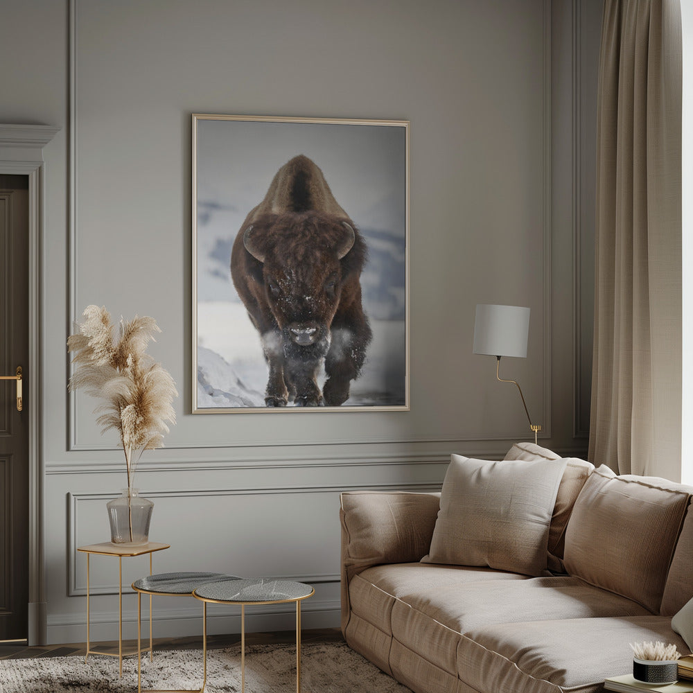 Bison Incoming Wall Artwork 0