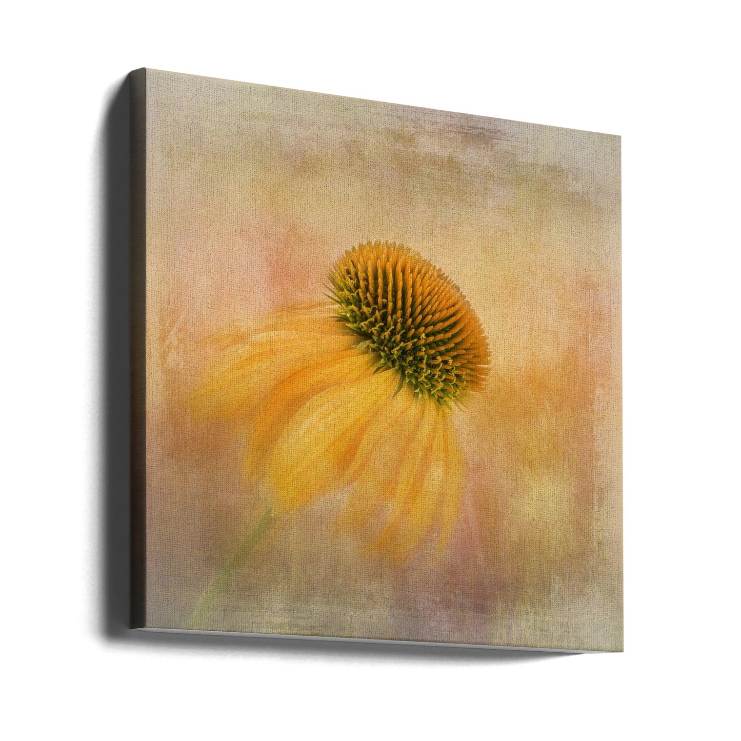 Echinacea in Yellow Wall Artwork 0