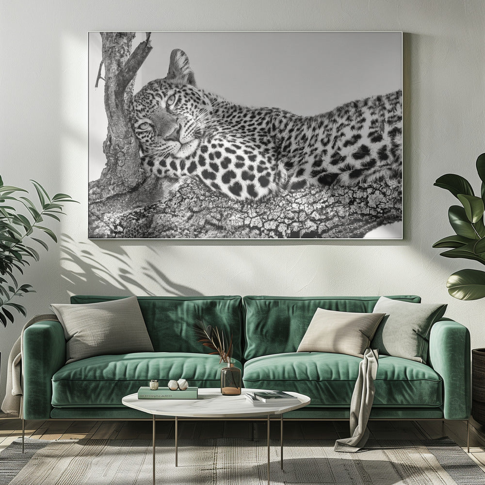 Time to rest Leopard Wall Artwork 0