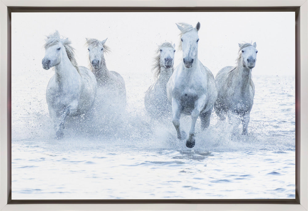 Horses on the Run in White Floating Frame