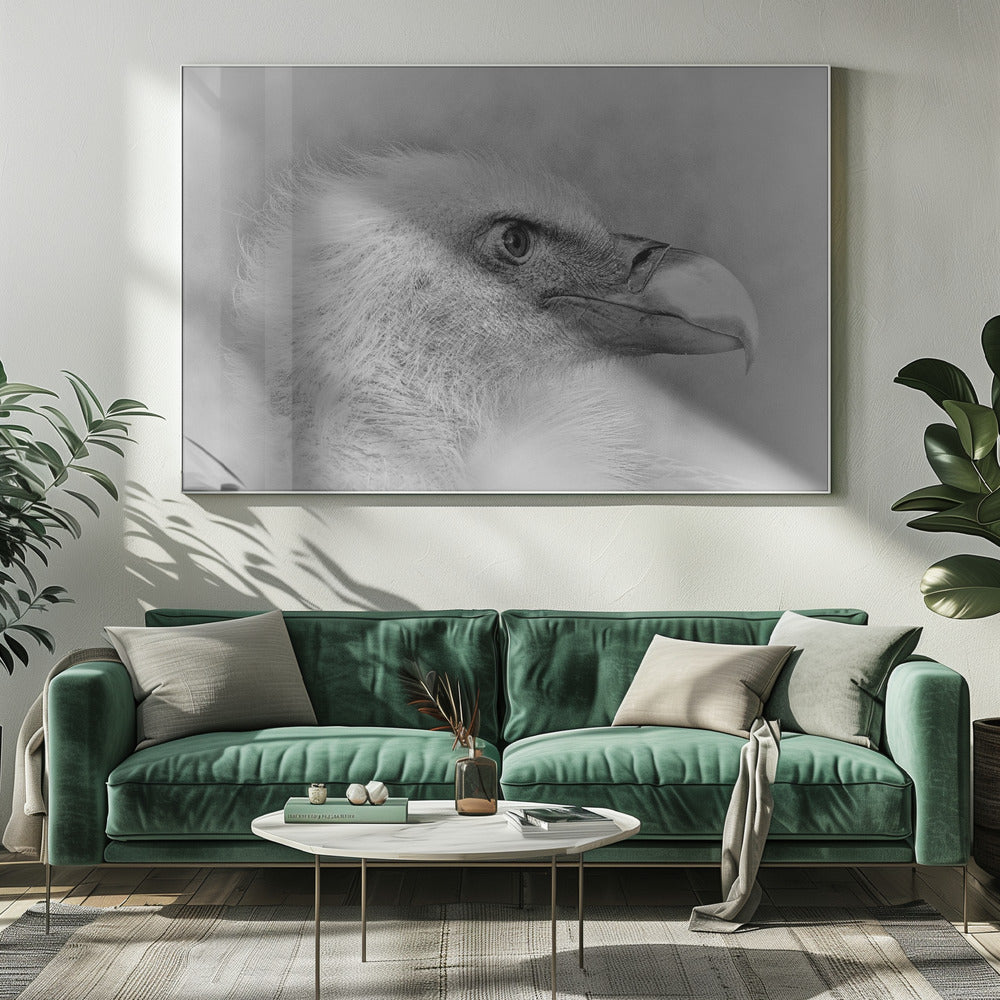 Artwork- Bald eagle-34" x 22" Metalinches-Metal