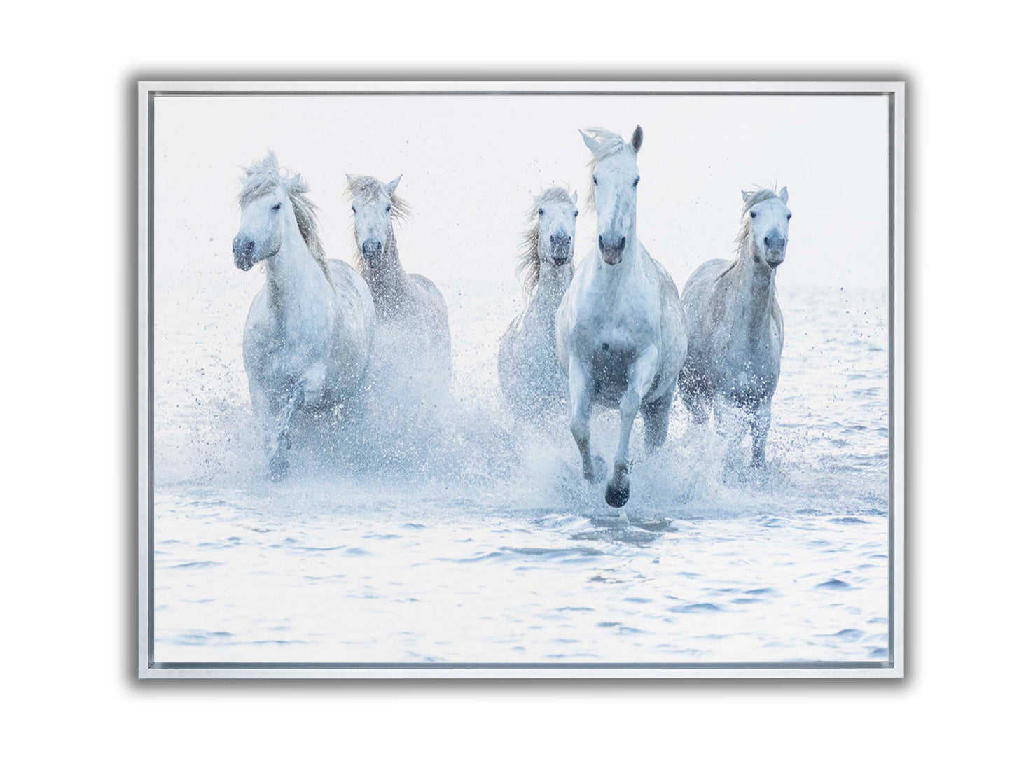 Horses on the Run