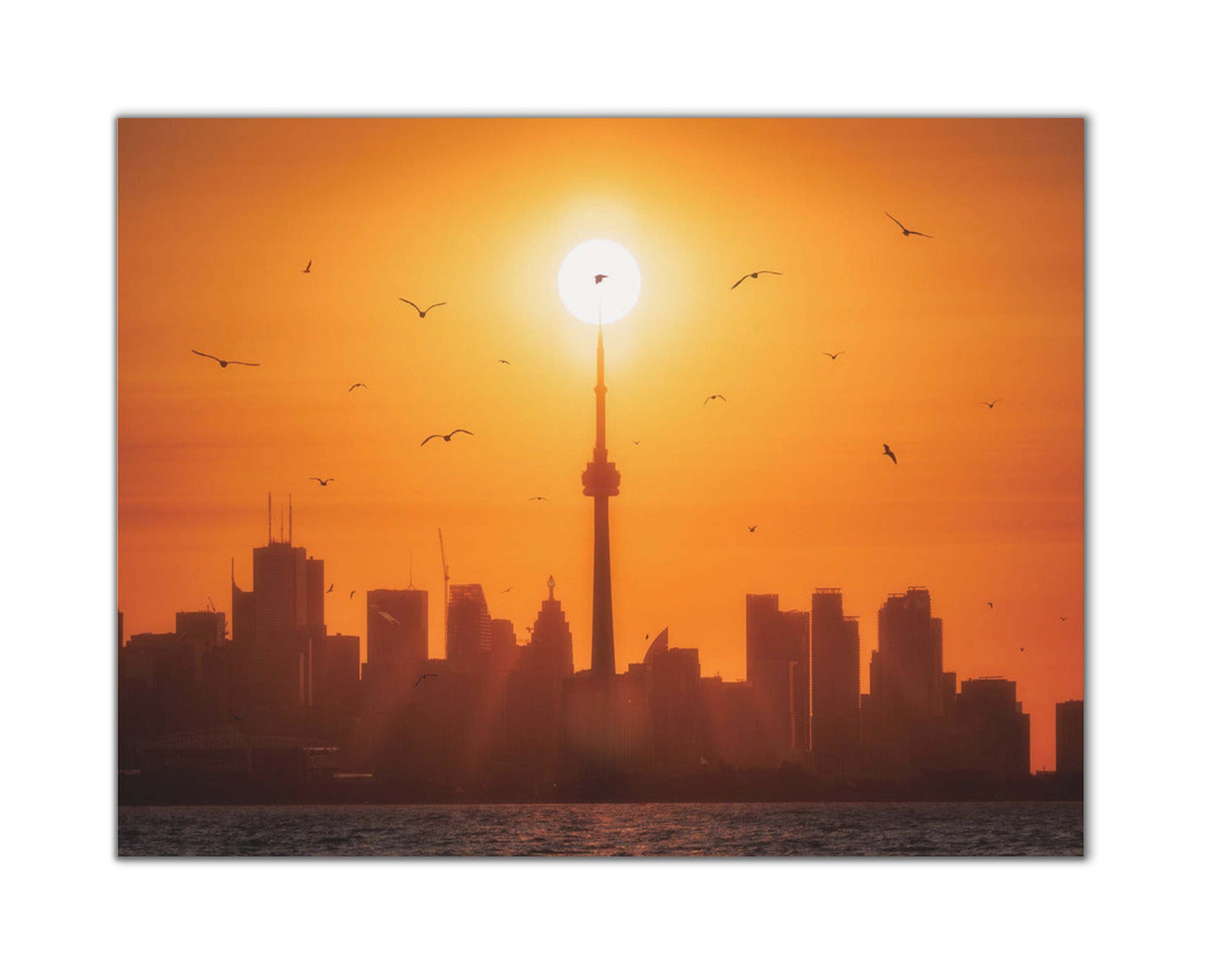 Sun Rising Behind Toronto Canvas Print