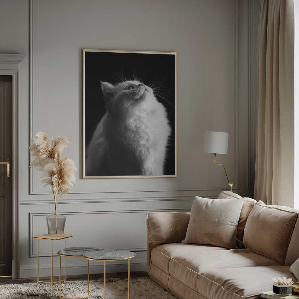 Wall art White in Black