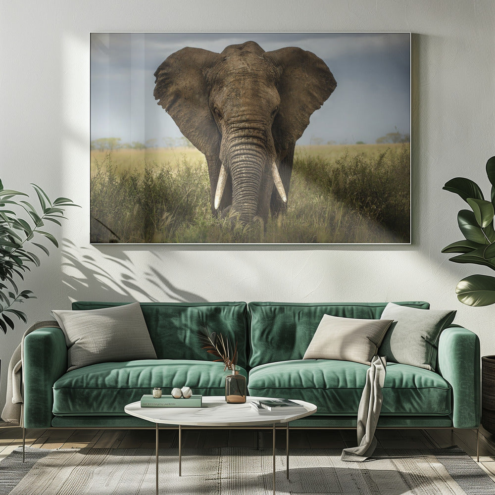 Artwork Encounters in Serengeti. Elephant20X16inches- White Frame