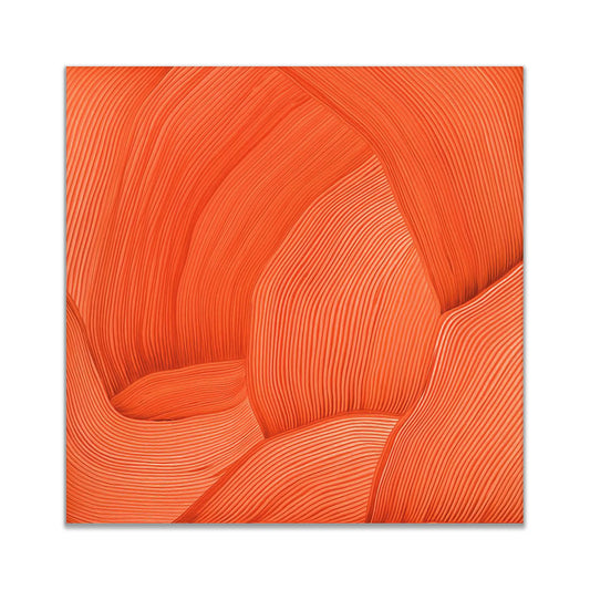 3D Line Drawing 36" x 36" Fine Art Canvas