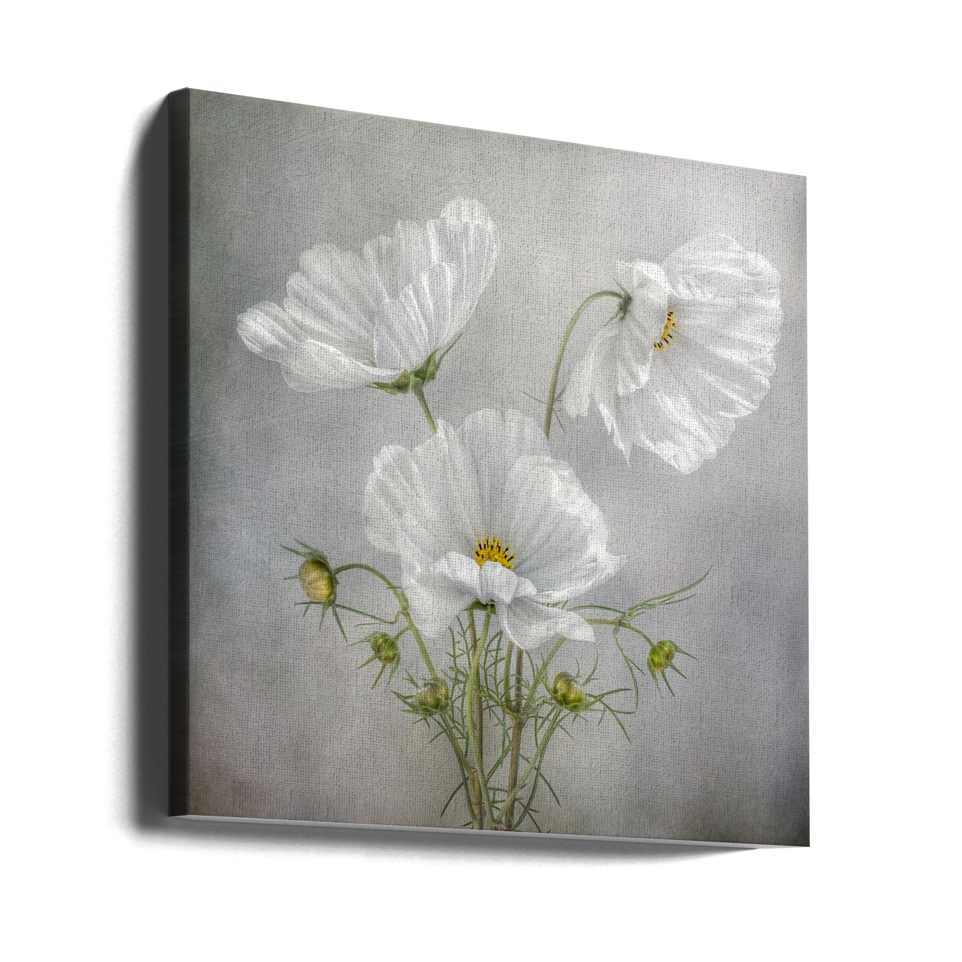 Cosmos Charm Irises Wall Artwork 0