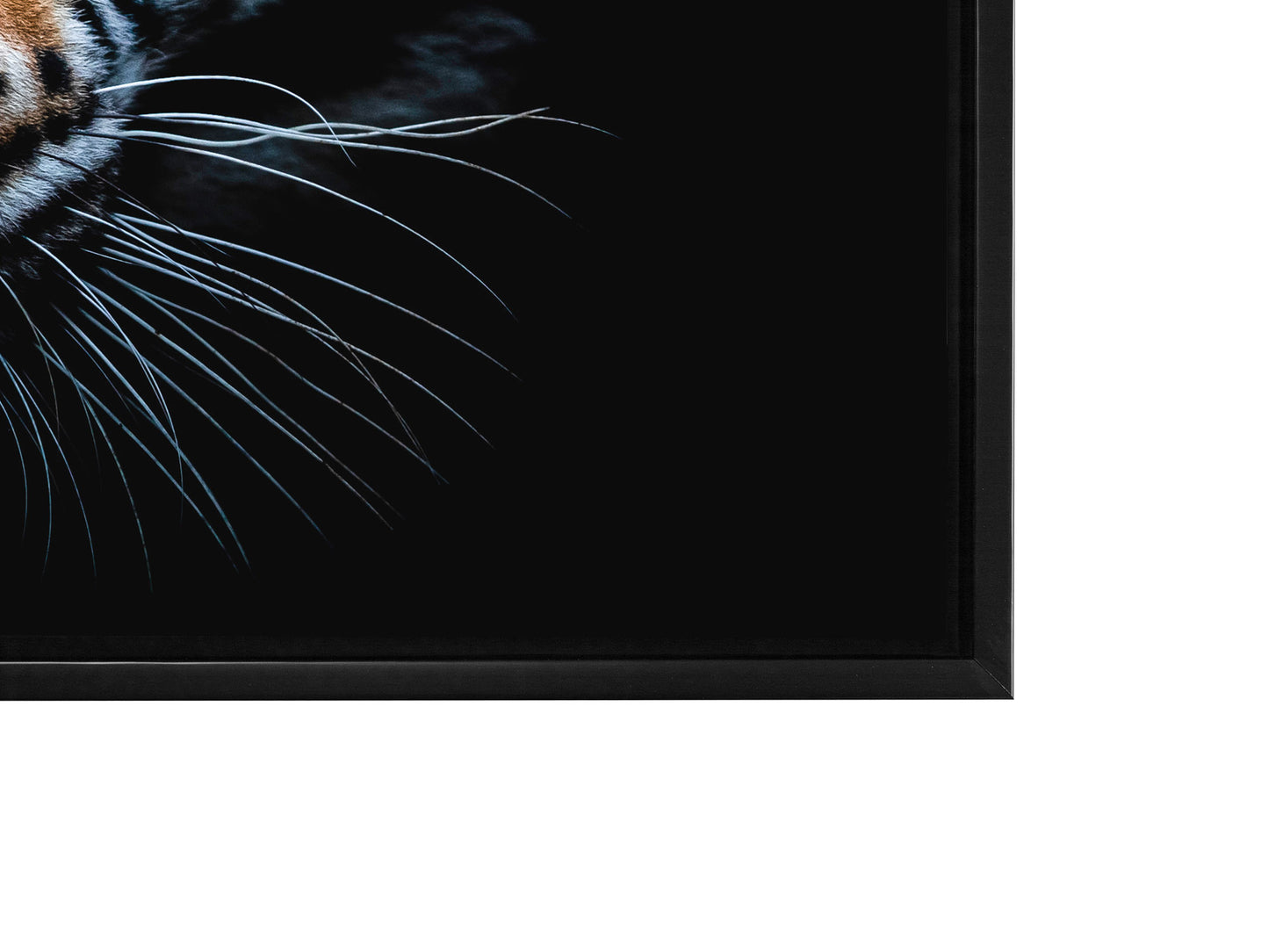 Tiger Head-Wildlife Canvas Art - Hand applied gold varnish