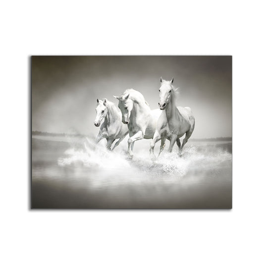 Black and White Stallions - Animal Print Canvas-Fine Art