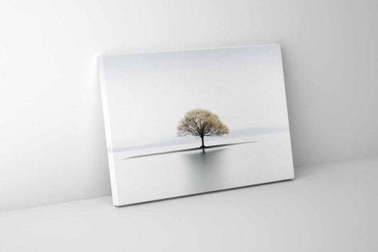 Canvas Print-Solitude-Wall Art