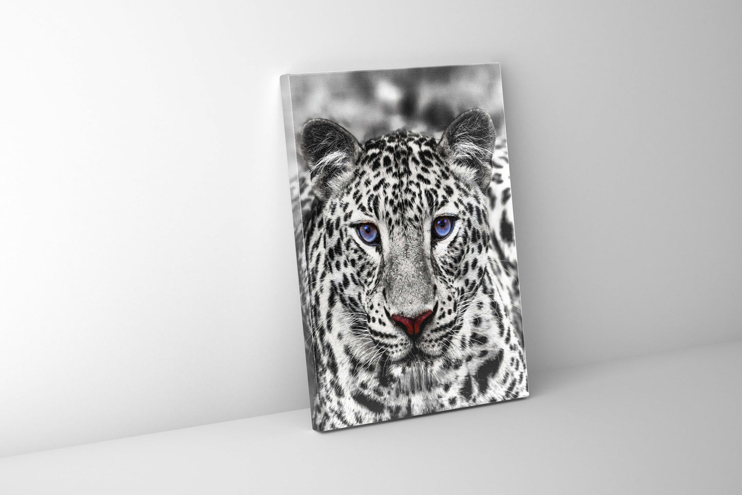 Canvas print-Blue Eyed White Tiger- Wildlife art