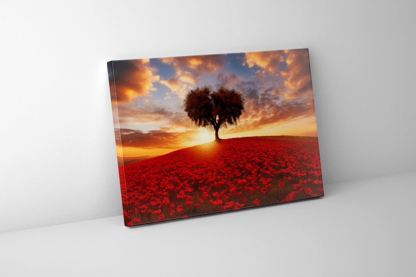 Single Tree in Floral Meadow- Fine Art Canvas