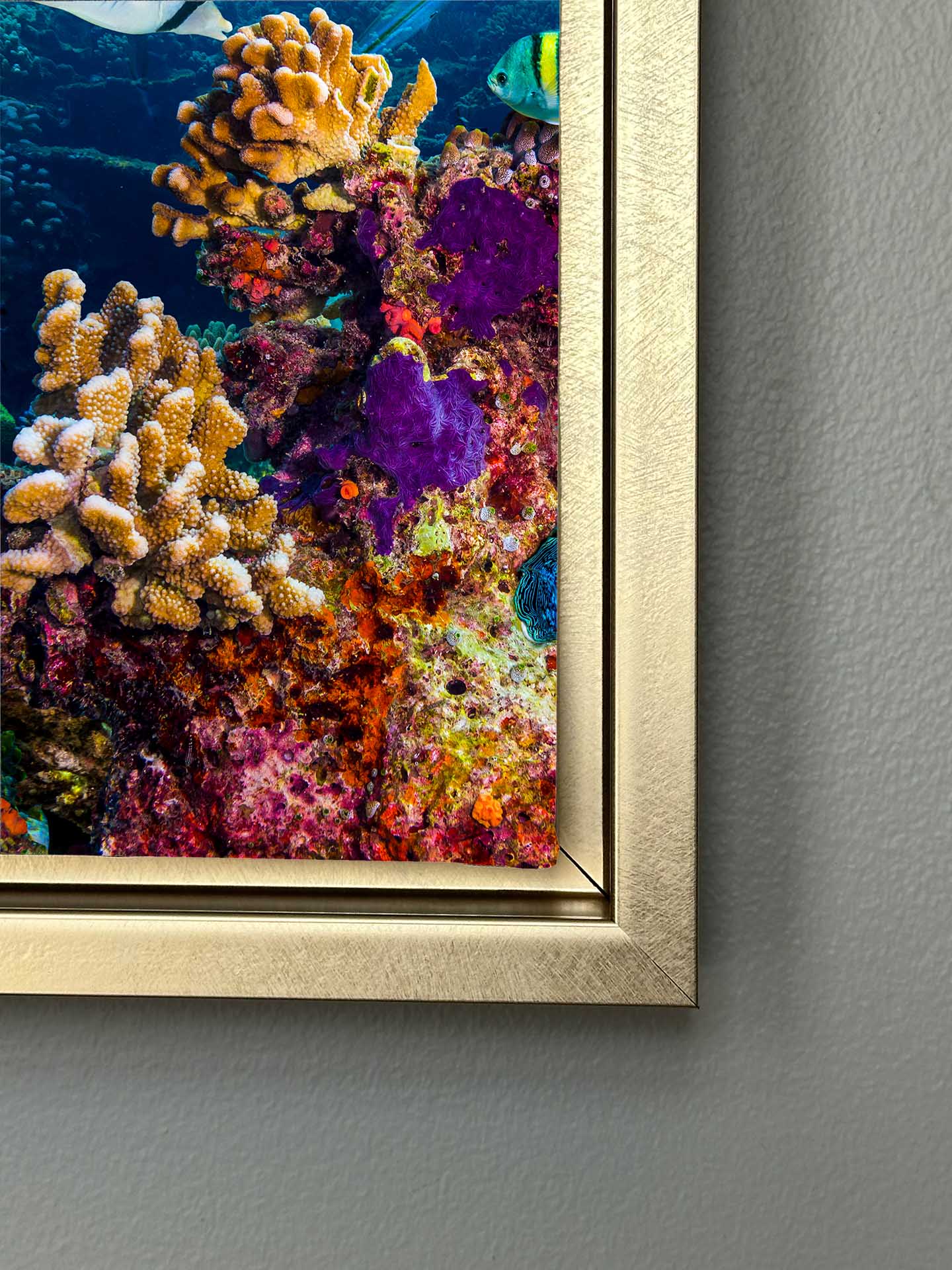 Canvas Print-Below the Surface-Wall Art