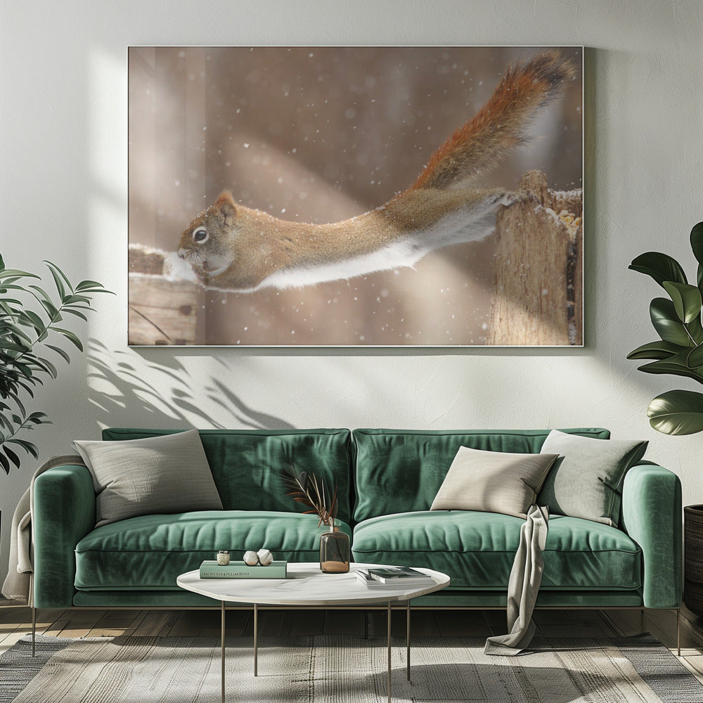 Wall art The Acrobat-20X16inches-In White Floating Frame