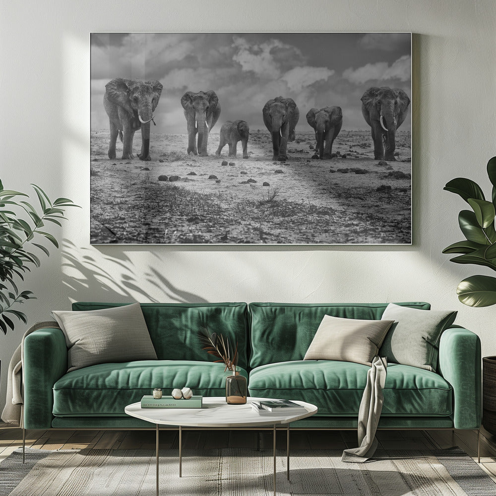 Artwork Big Family. Elephants20X16inches- White Frame