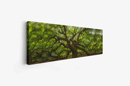 Angel Tree 72" x 24" Fine Art Canvas Print