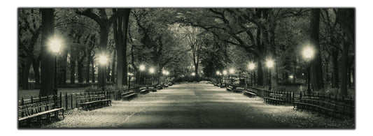 The Mall in Central Park 72" x 24"