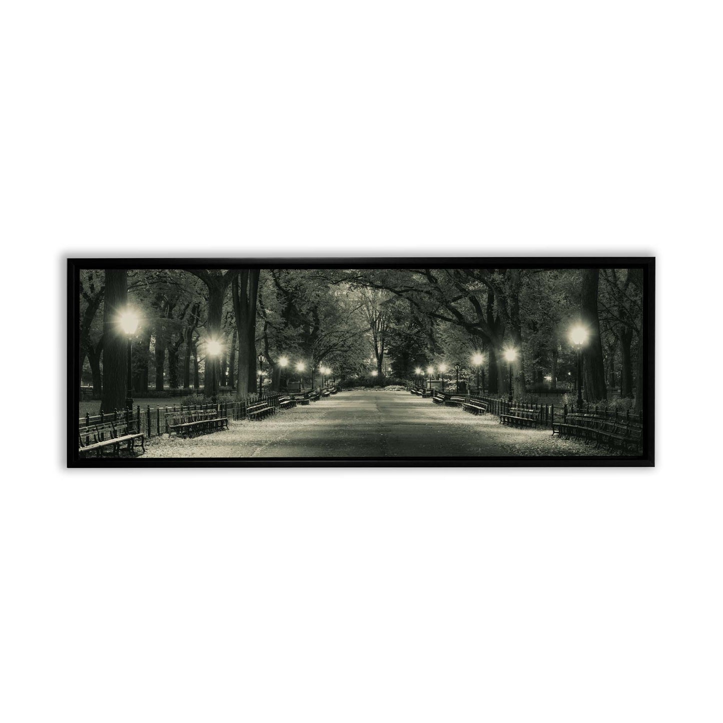 The Mall in Central Park 72" x 24"