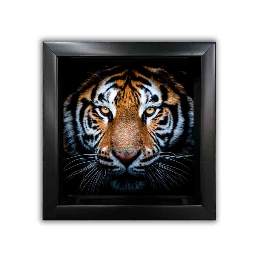 Set of 12 Framed Canvases