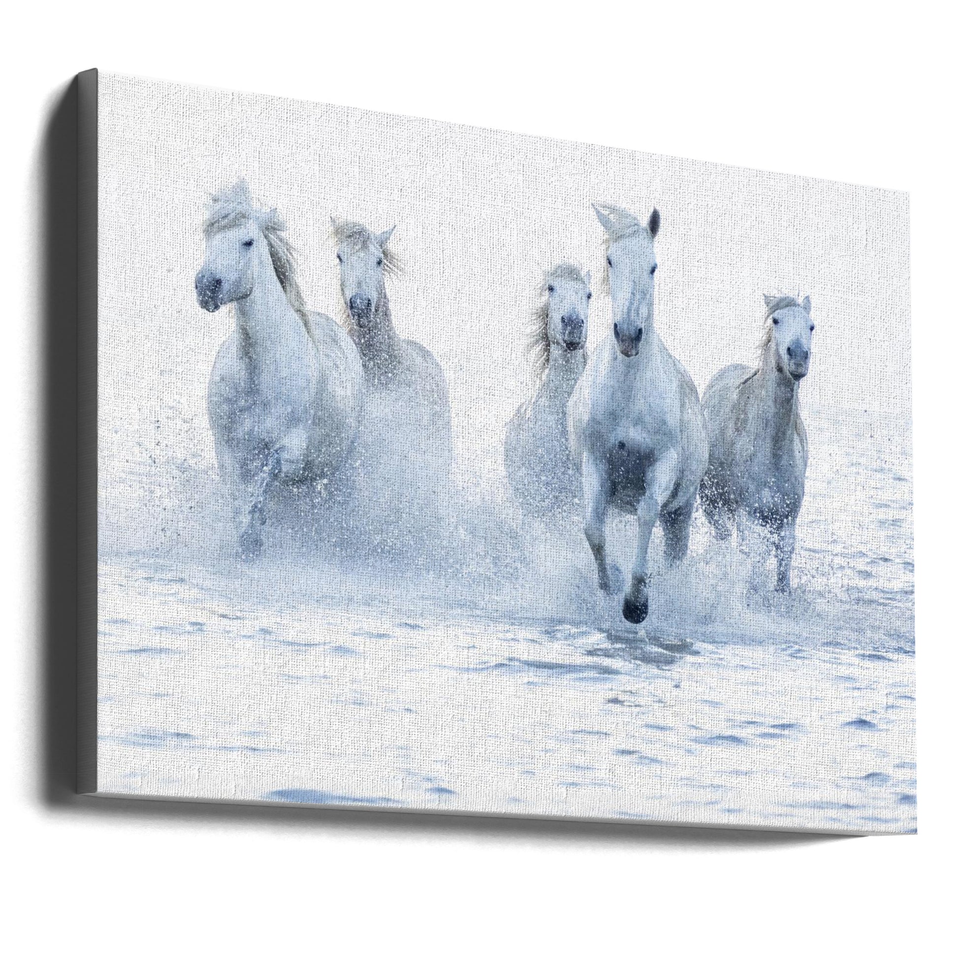 Horses on the Run in Gallery Wrap