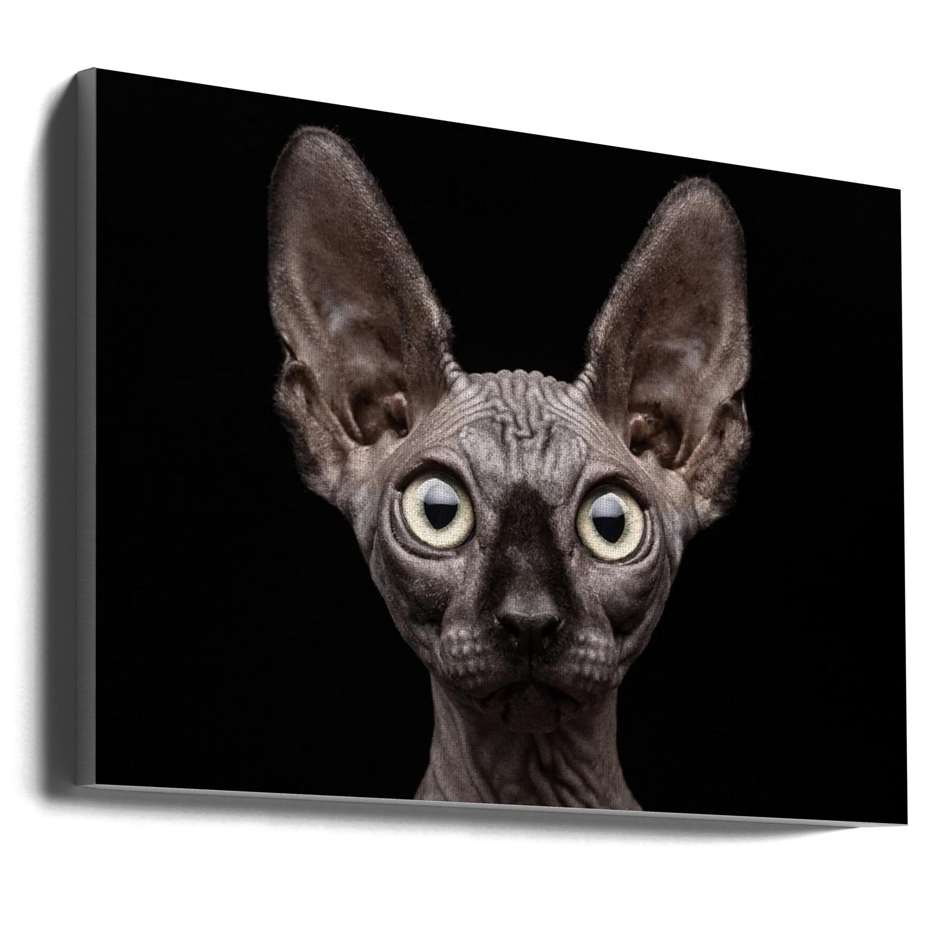 Artwork Sphynx Cat36X24inches- Unframed