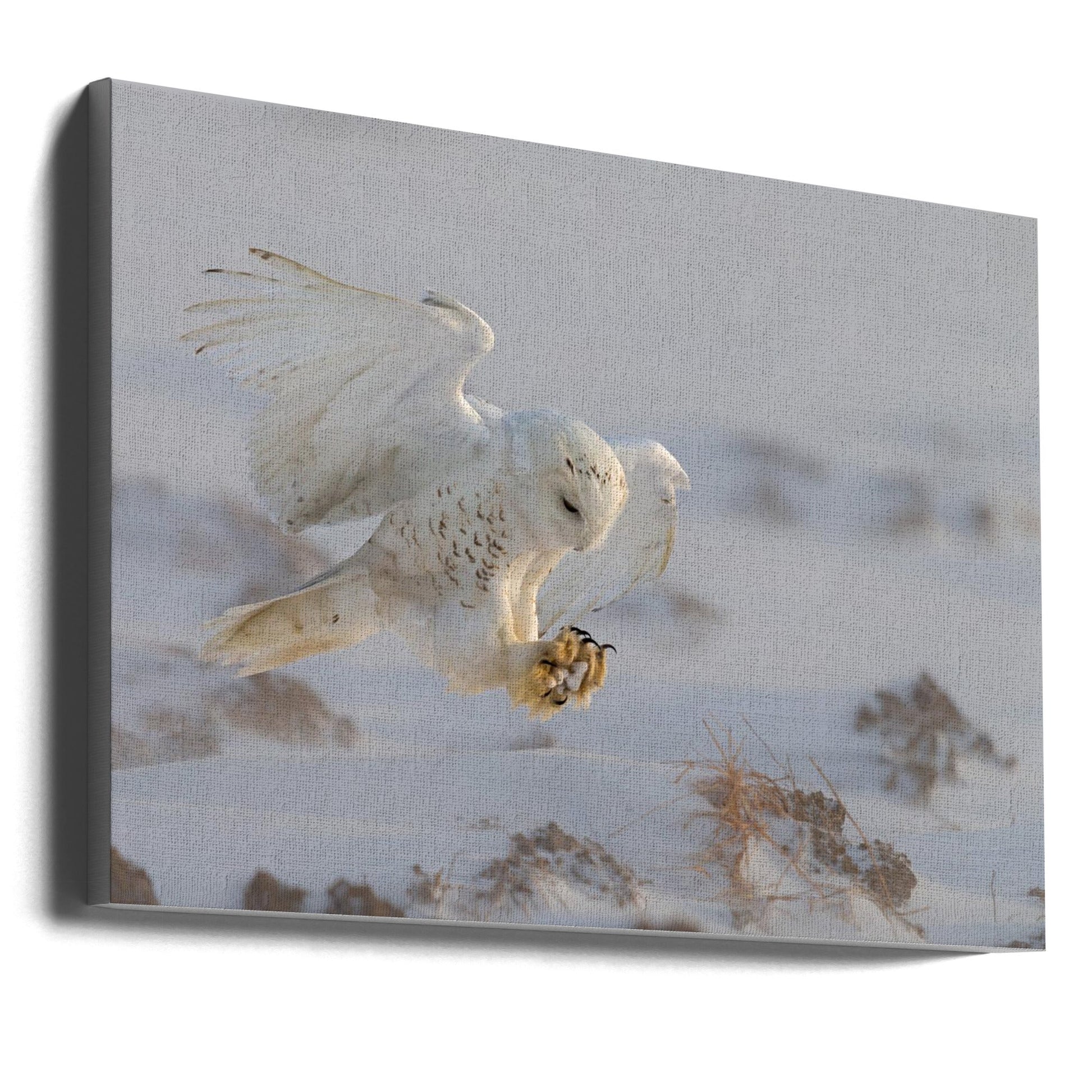 Wall art Landing-36X24inches-Gallery Wrapped (Ready to Hang)