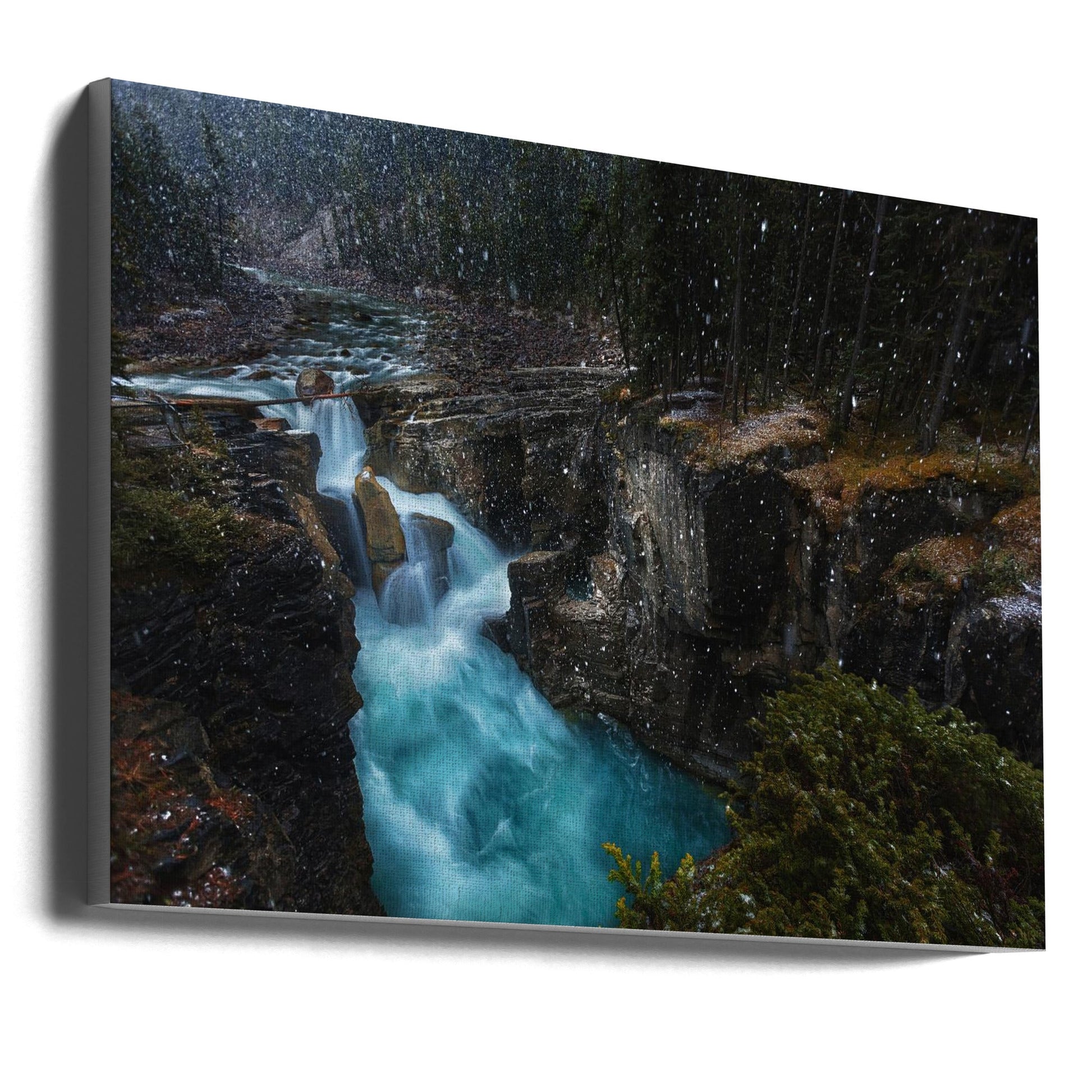 Wall art Surprise-36X24inches-Gallery Wrapped (Ready to Hang)