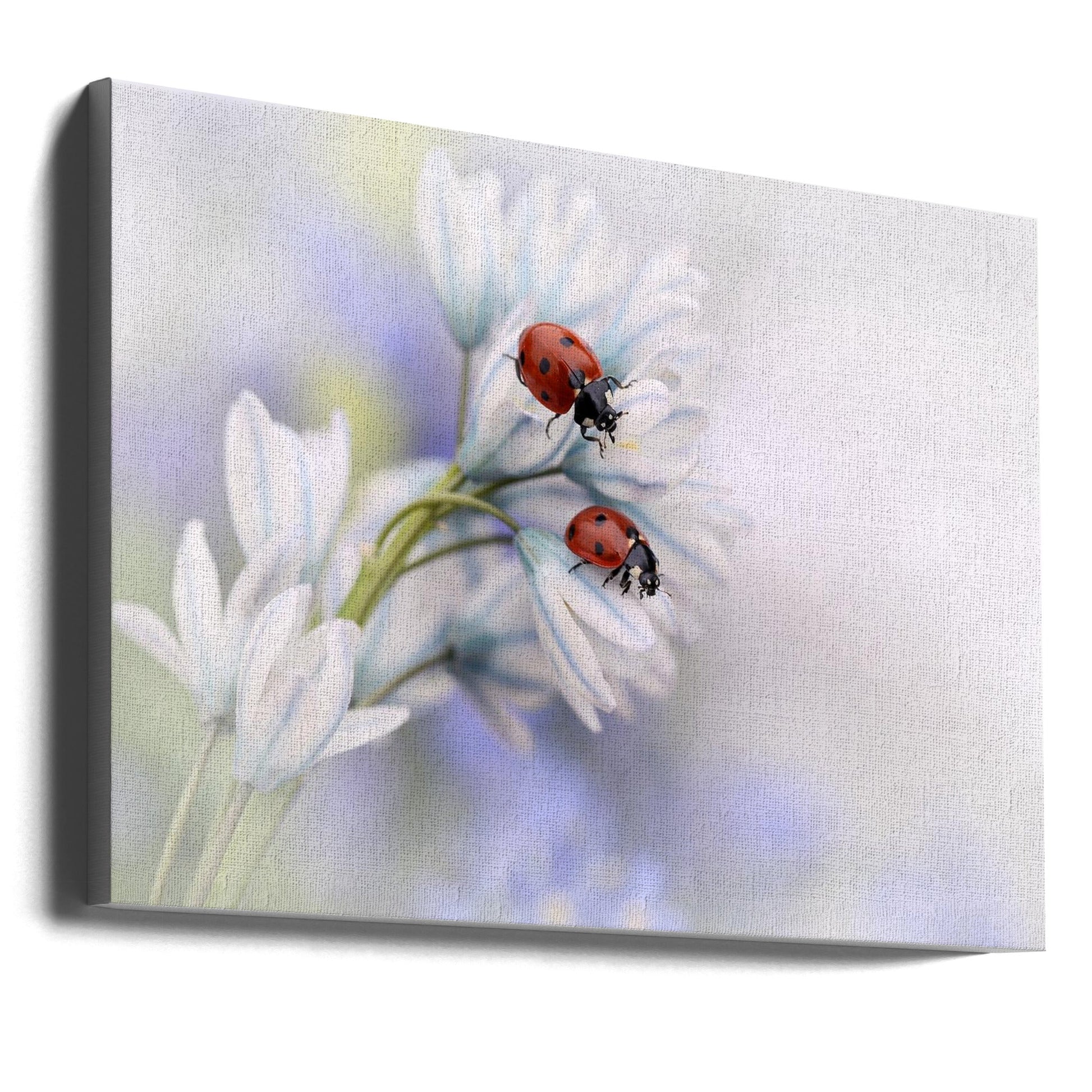 Artwork Ladybirds36X24inches- Unframed