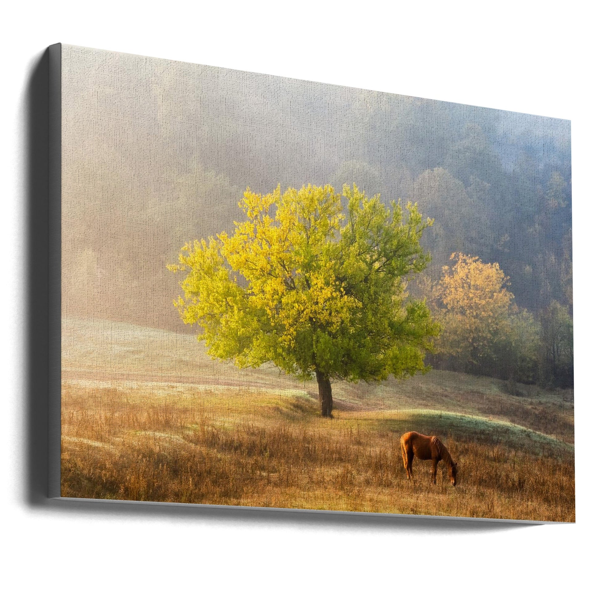 Tree of Life artwok Wall Artwork Gallery Wrapped (Ready to Hang)
