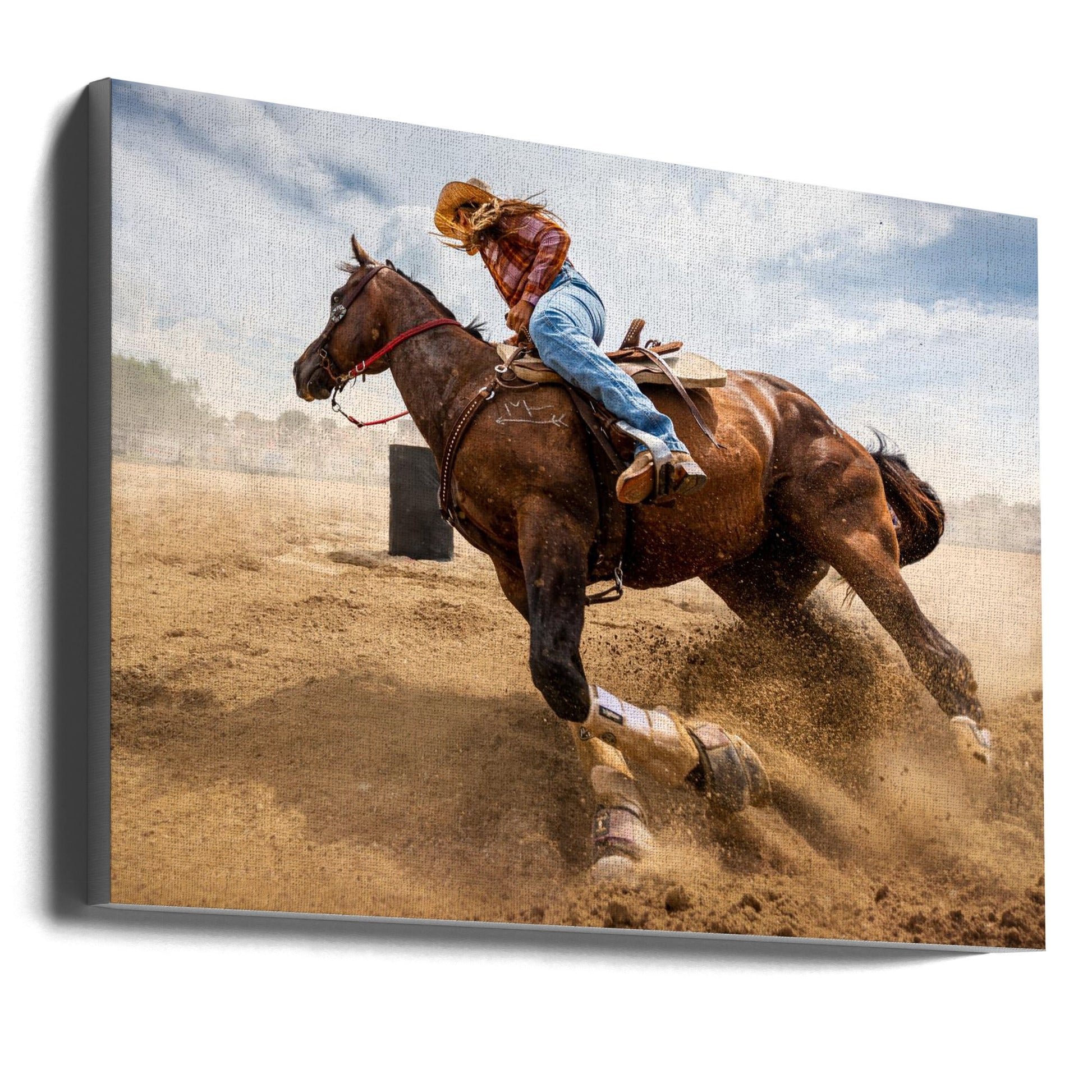 Bending Horse Wall Artwork Gallery Wrapped (Ready to Hang)