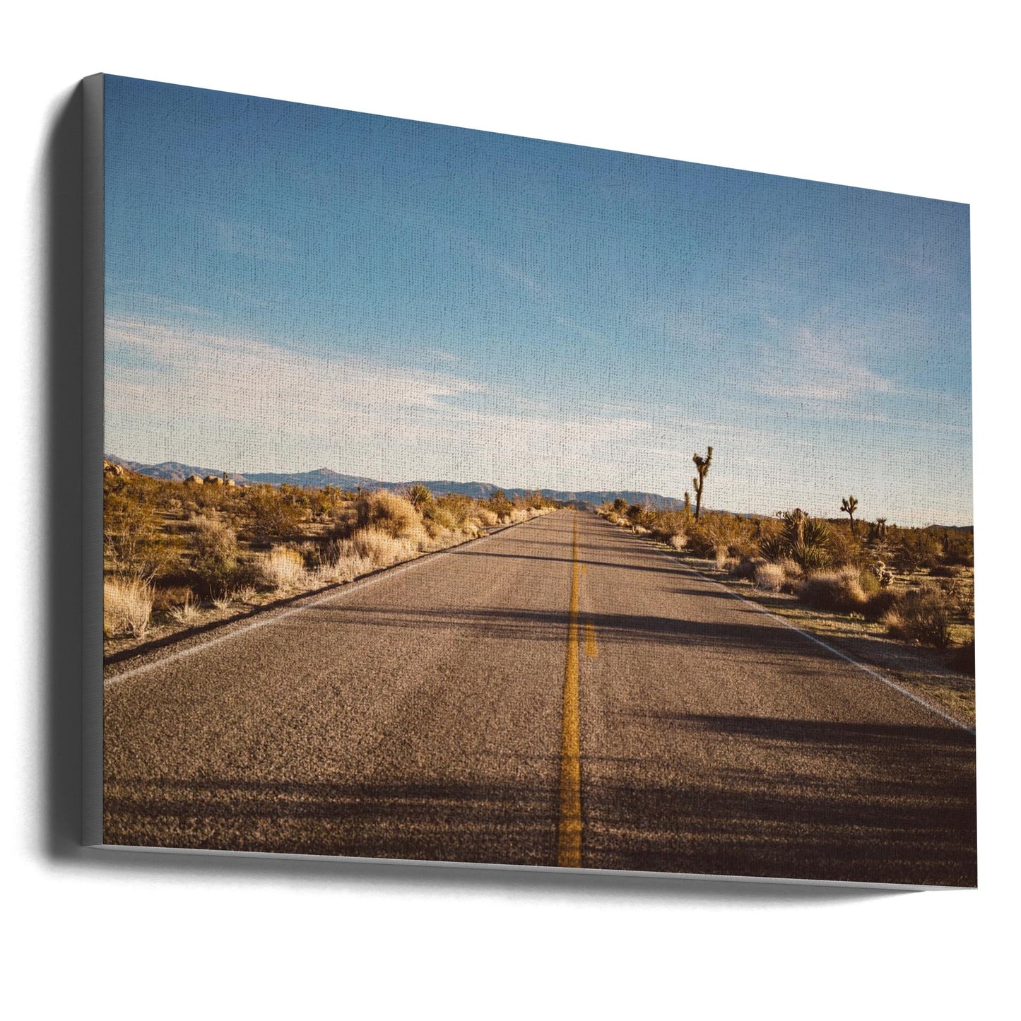 Joshua Tree Road Wall Artwork In Black Floating Frame