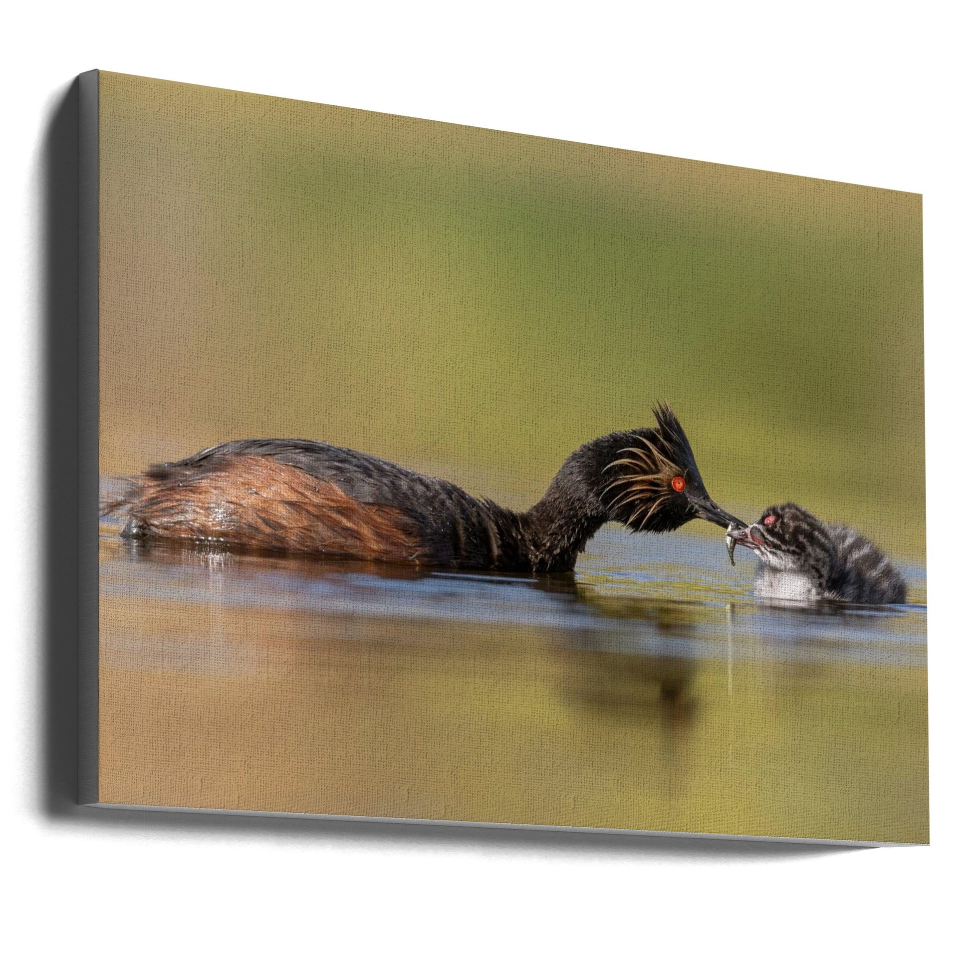 canvas prints Feeding36X24inches- Unframed