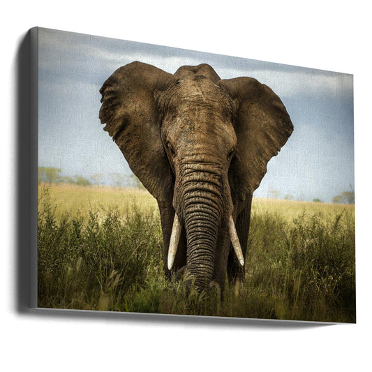 Artwork Encounters in Serengeti. Elephant36X24inches- Unframed