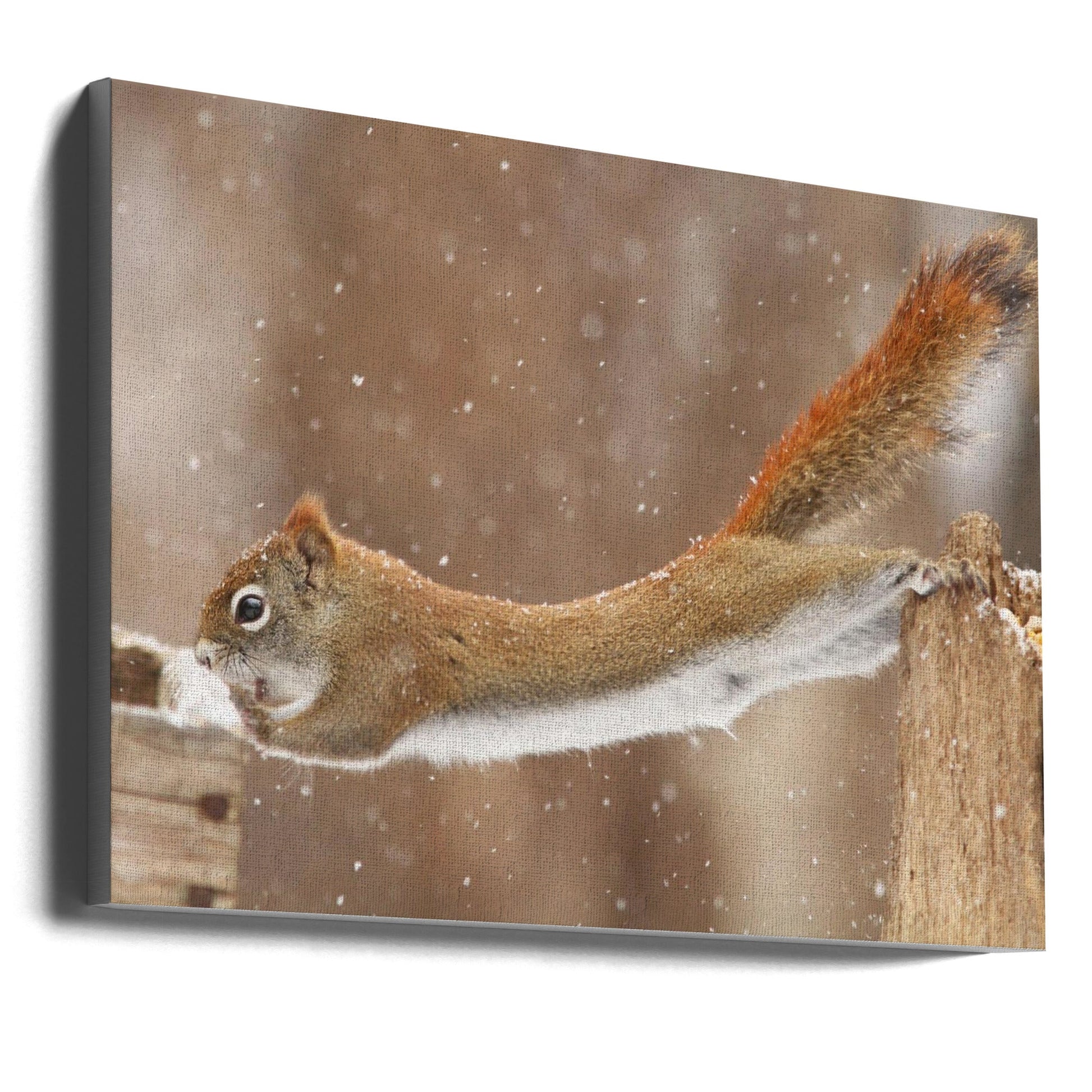 Wall art The Acrobat-36X24inches-Gallery Wrapped (Ready to Hang)