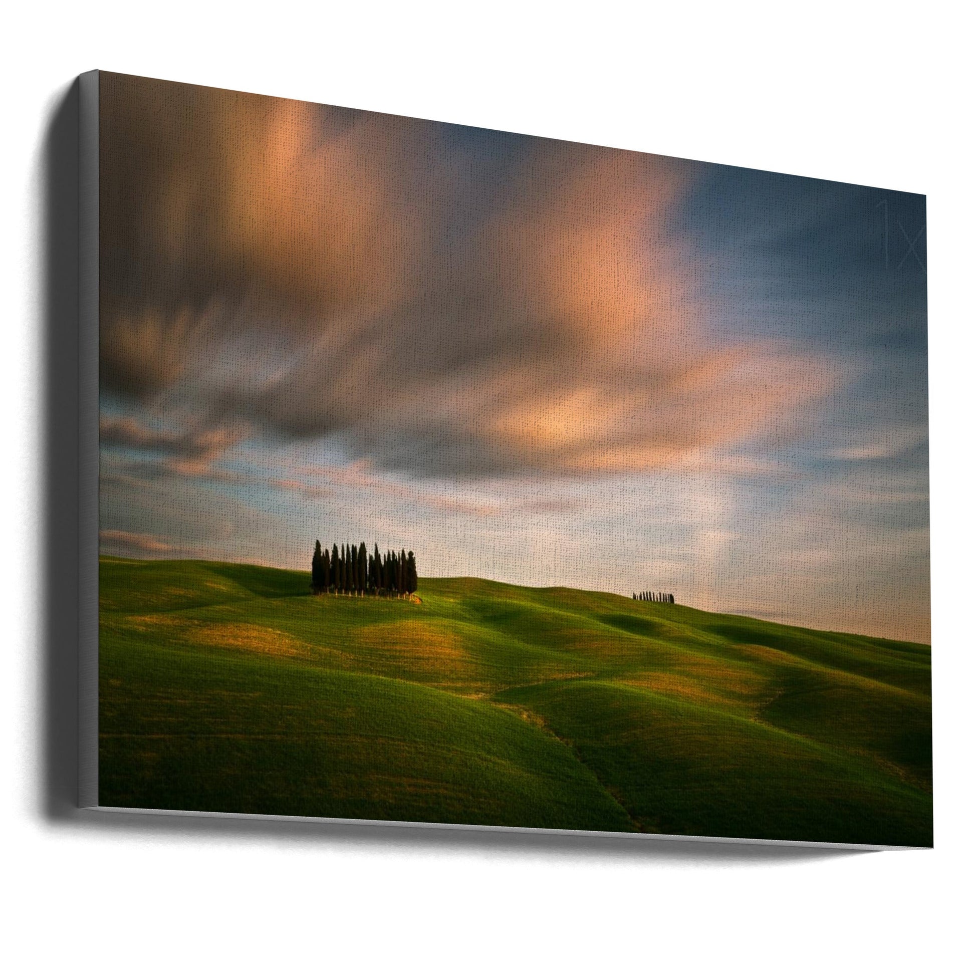 Artwork Fields...36X24inches- Unframed