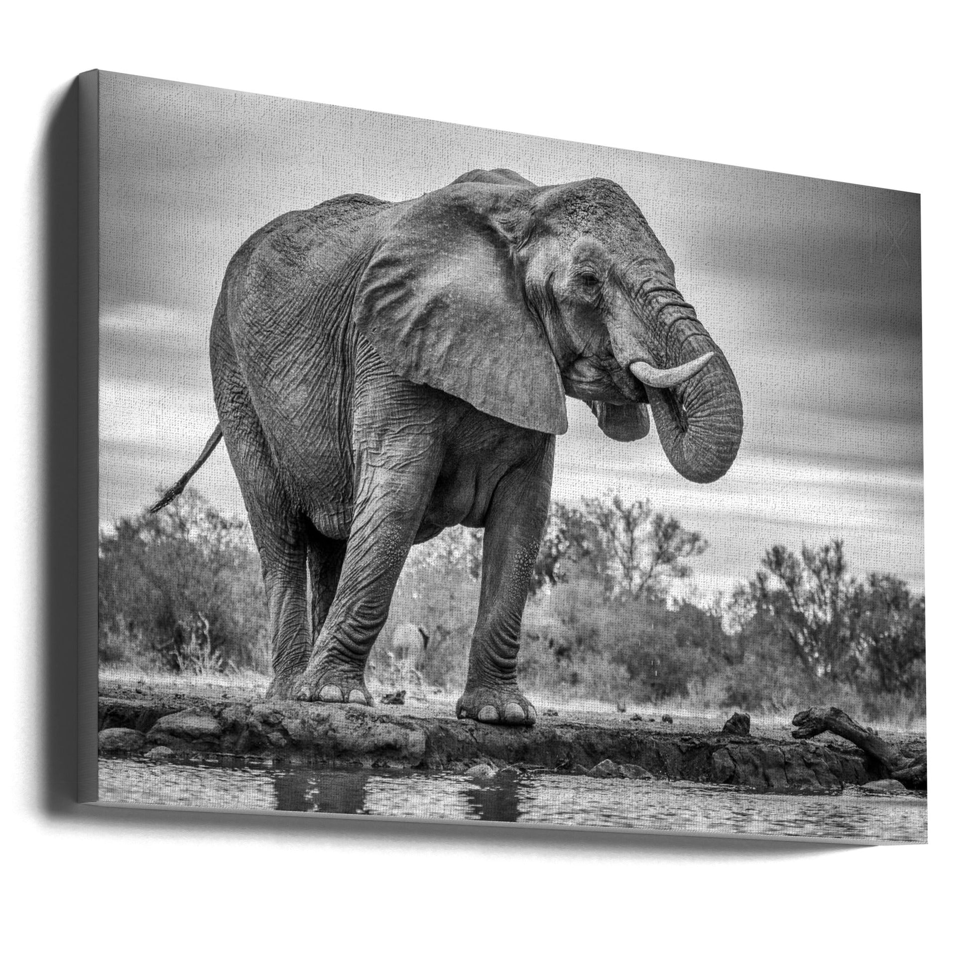 Artwork Standing Proud. Elephant36X24inches- Unframed