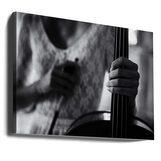 Artwork- break for the cello-20X16inches-Gallery Wrapped (Ready to Hang)