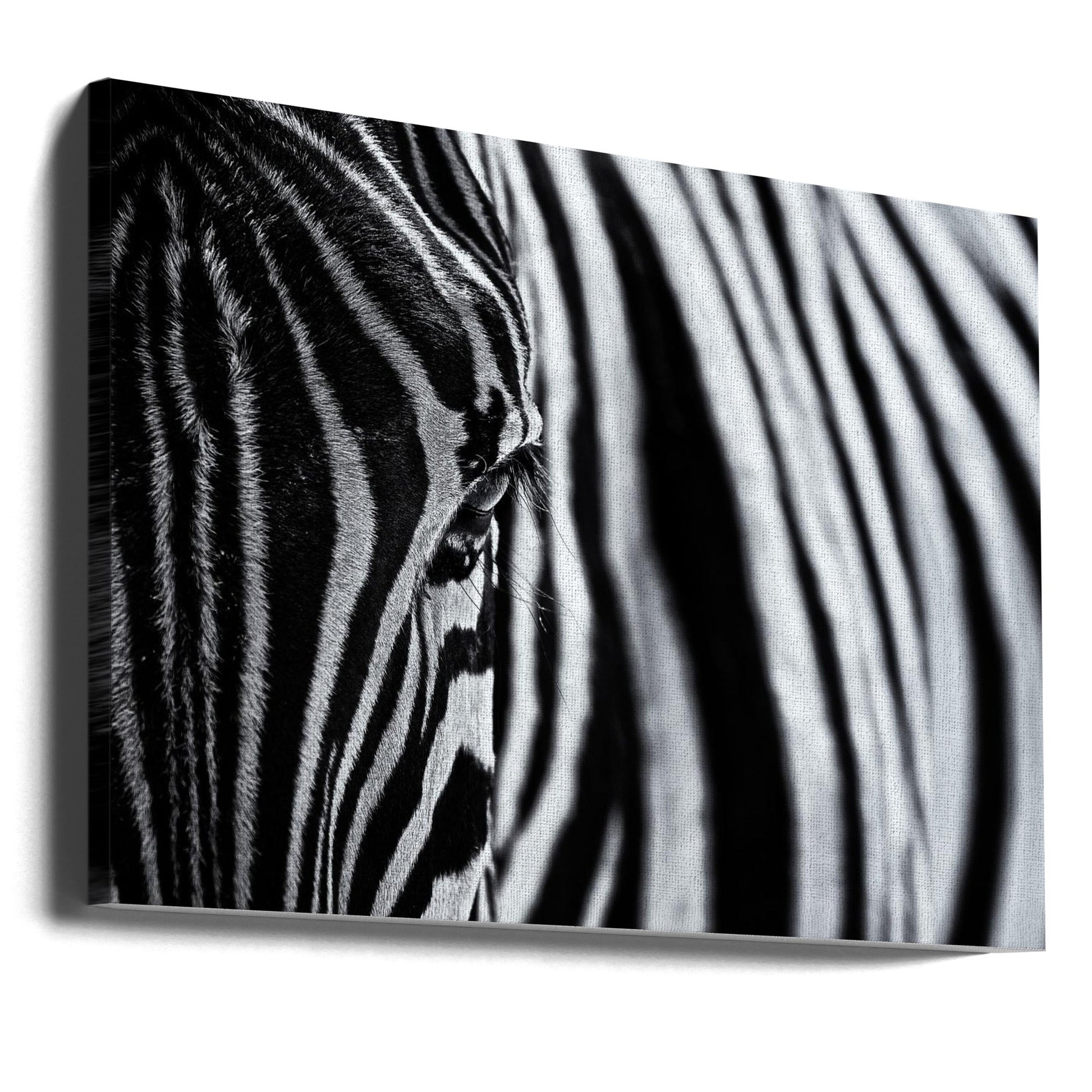 Artwork- The look of nature-20X16inches-Gallery Wrapped (Ready to Hang)