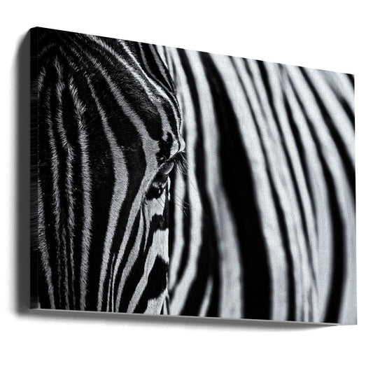 Artwork- The look of nature-20X16inches-Gallery Wrapped (Ready to Hang)