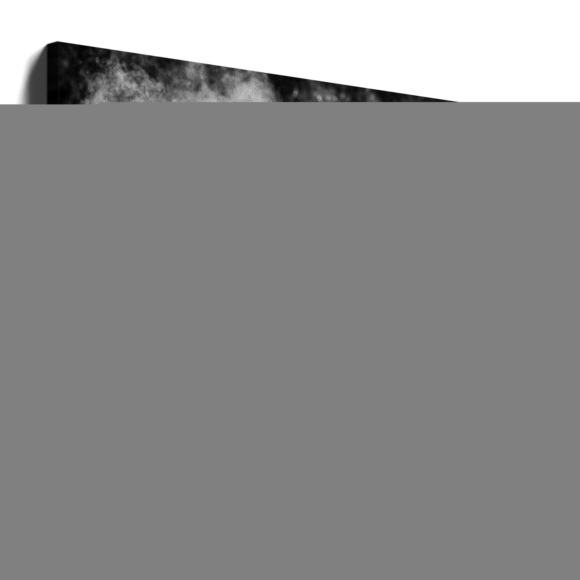 Artwork- Icelandic pony-20X16inches-Gallery Wrapped (Ready to Hang)