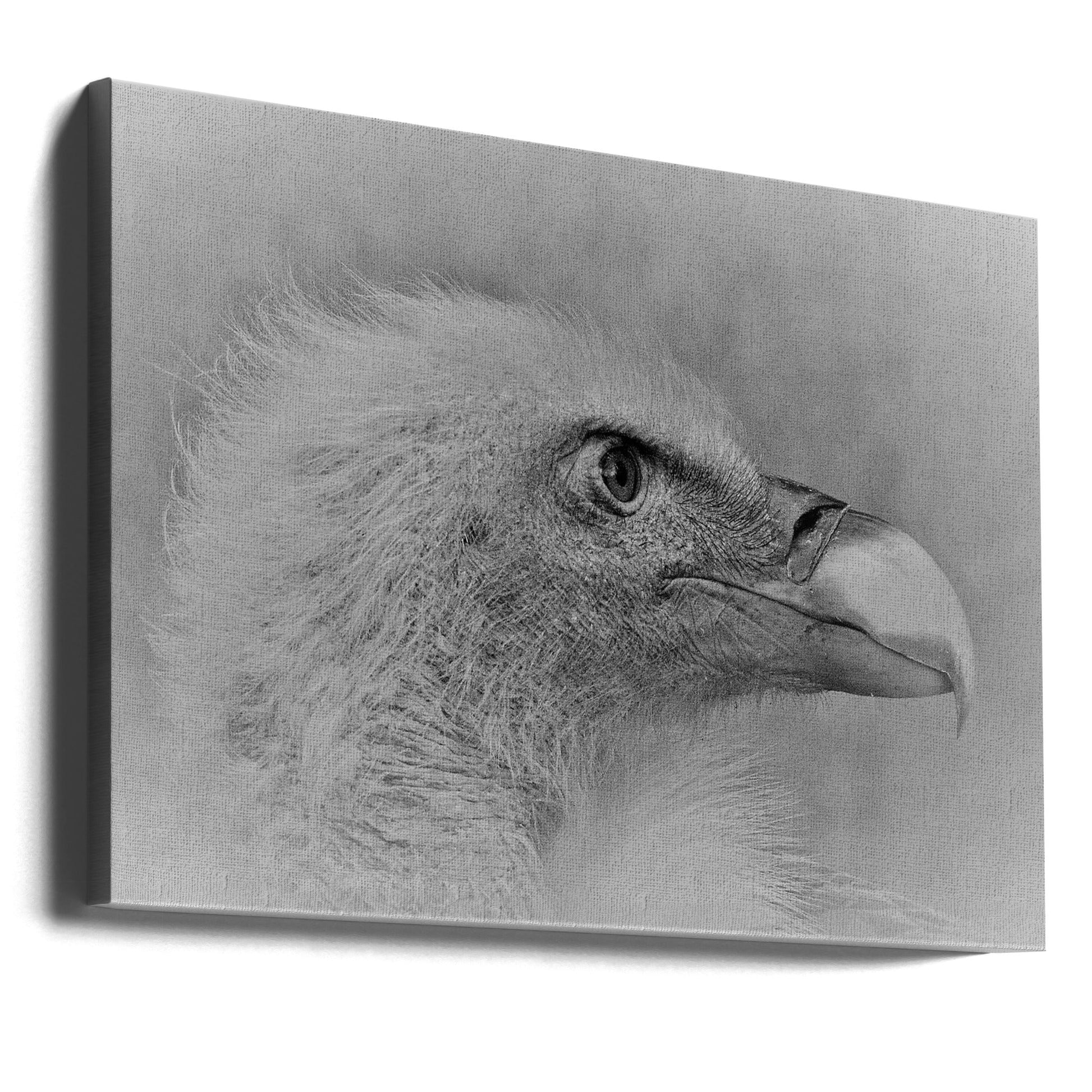Artwork- Bald eagle-20X16inches-Gallery Wrapped (Ready to Hang)