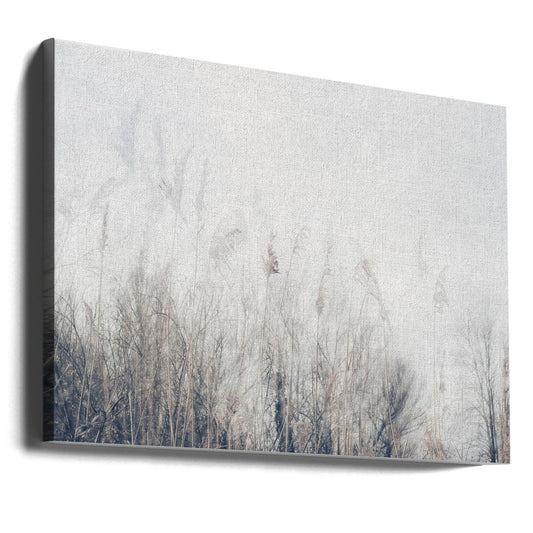 Artwork- Landscape of reeds and grass-20X16inches-Gallery Wrapped (Ready to Hang)
