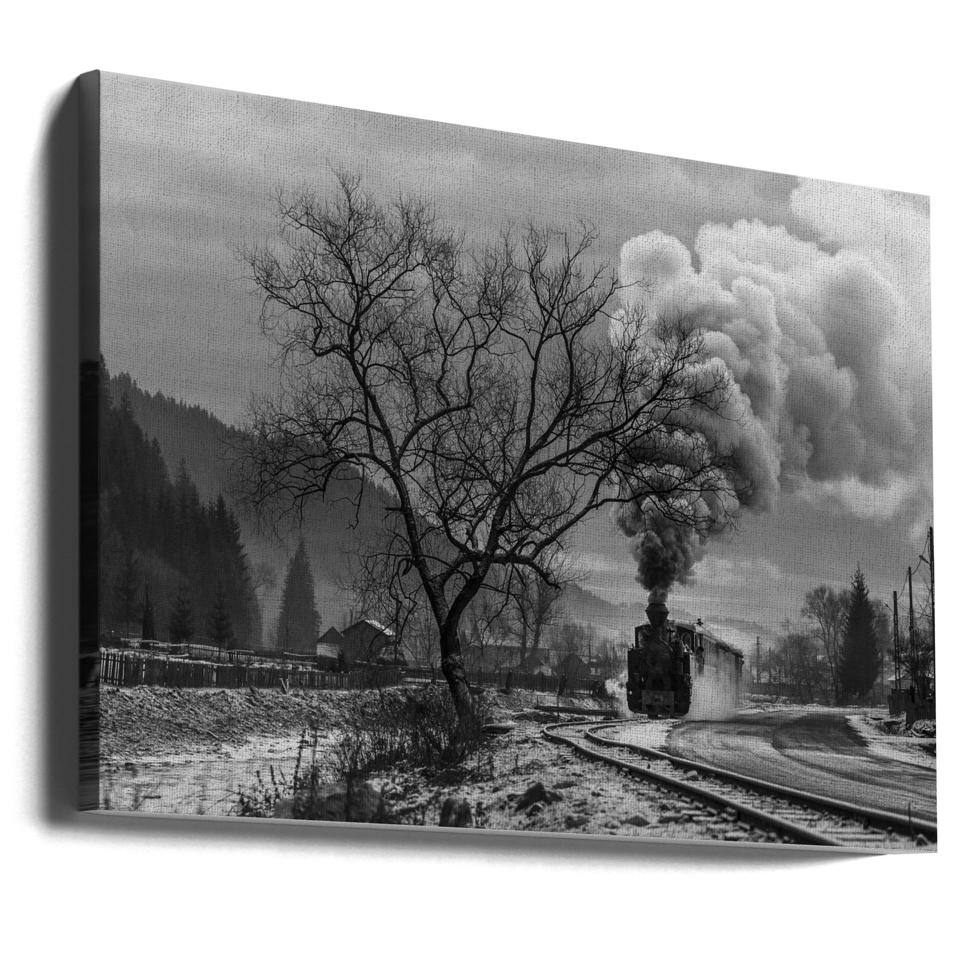 Artwork- Mocanita Hutulca-20X16inches-Gallery Wrapped (Ready to Hang)