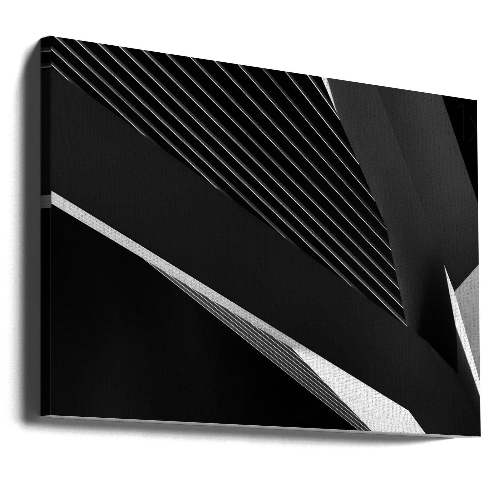 Artwork- Abstraction of a swan-20X16inches-Gallery Wrapped (Ready to Hang)