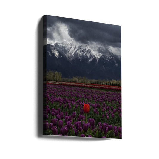 Wall art Tulip in Vancouver, Canada-24X36inches-Gallery Wrapped (Ready to Hang)
