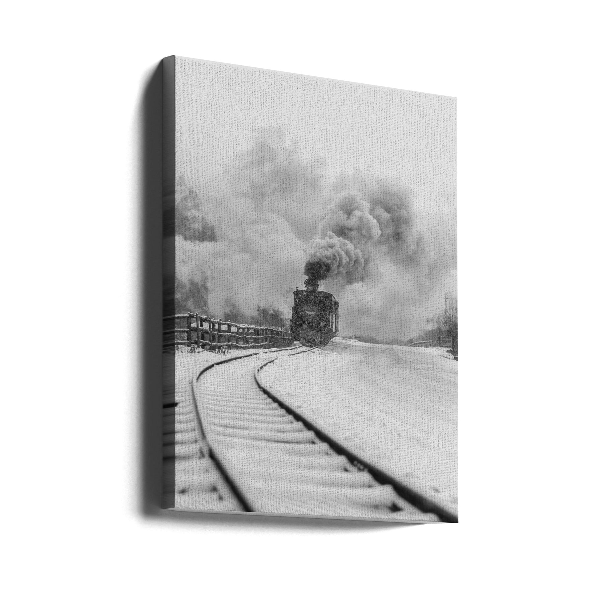 Artwork- Mocanita Hutulca-16X20inches-Gallery Wrapped (Ready to Hang)