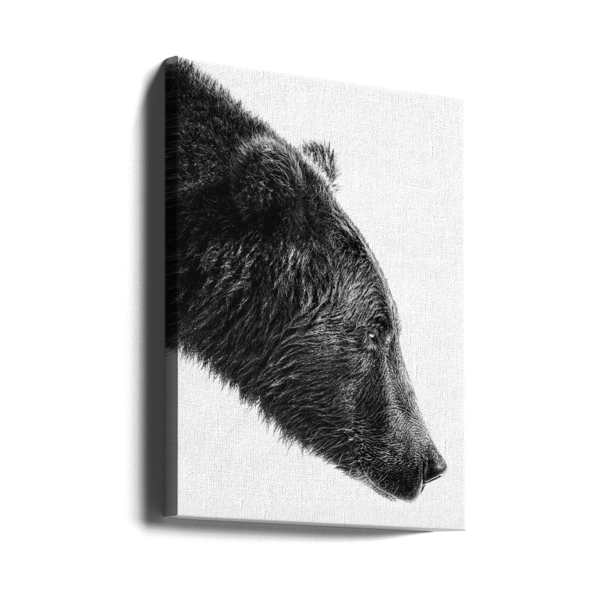 Artwork- The Salmon Catcher-16X20inches-Gallery Wrapped (Ready to Hang)