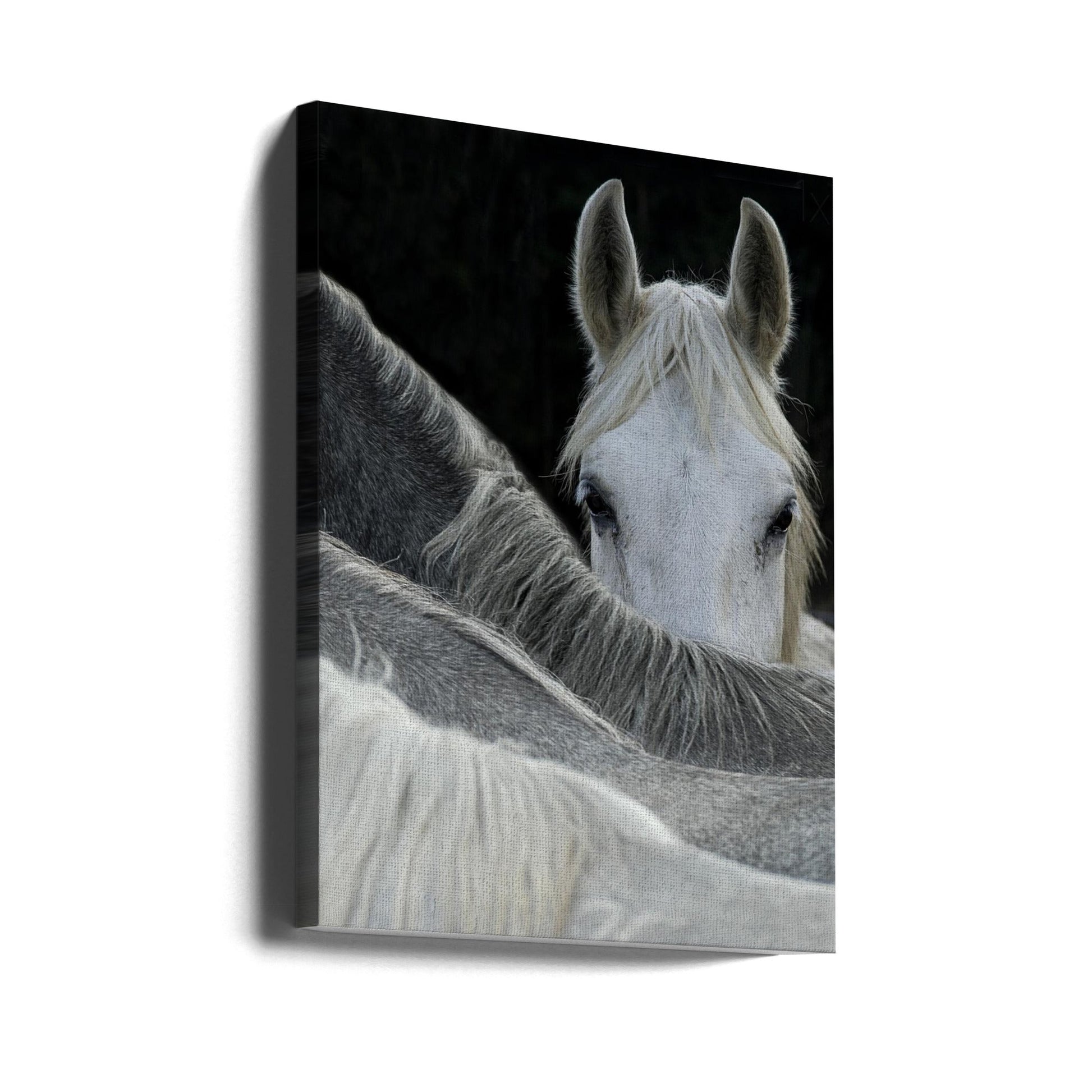 Look Wall Artwork Gallery Wrapped (Ready to Hang)