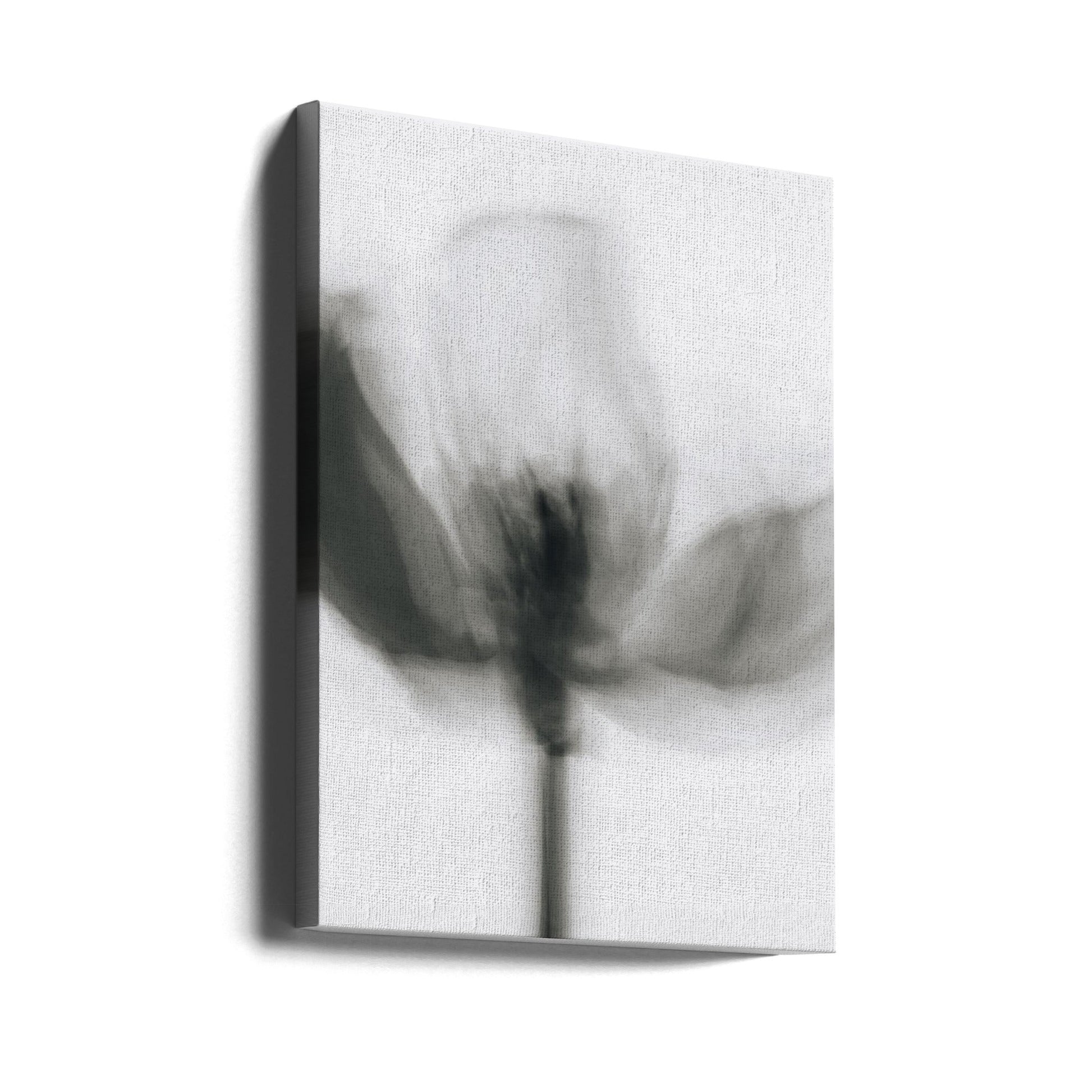Artwork- Mono Tulip-16X20inches-Gallery Wrapped (Ready to Hang)
