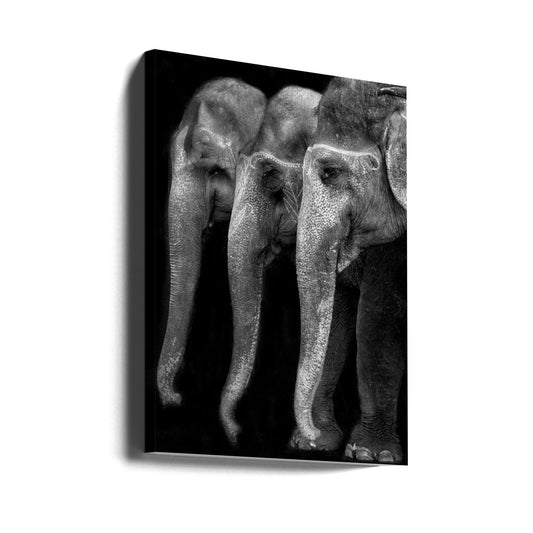 Artwork Nature\'s great masterpiece, an elephant; the only harmless great thing ...24X36inches- Unframed